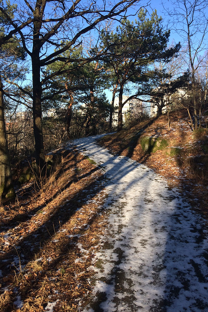 Ein Schnee bedeckter Weg im Wald von Frölunda.