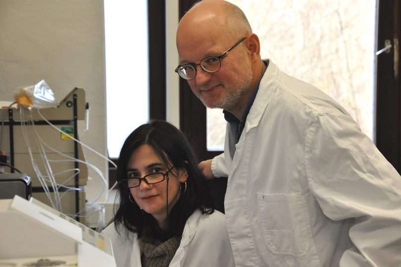 Zu sehen sind die beiden Forscher Dr. Maria João Pimenta Lange und Professor Theo Lange vom Institut für Pflanzenbiologie der TU Braunschweig. in ihrem Büro.
