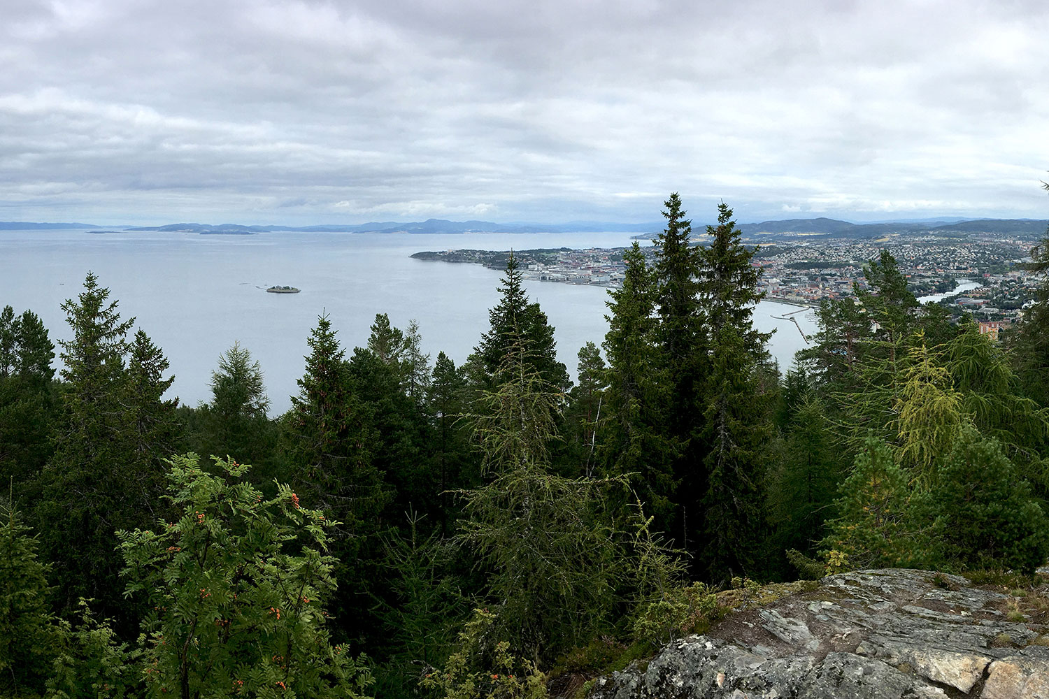 Zu sehen ist der Ausblick von einem Berg aus auf den Fjord und die Stadt Trondheim.