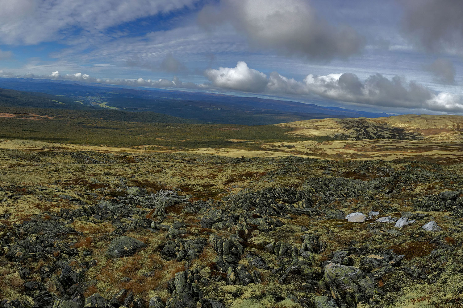 Steinlandschaft im Süden von Trondheim.