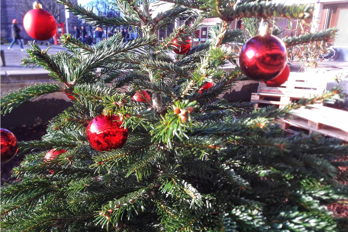 weihnachtsferien an der tu braunschweig tu braunschweig weihnachtsferien an der tu braunschweig tu braunschweig