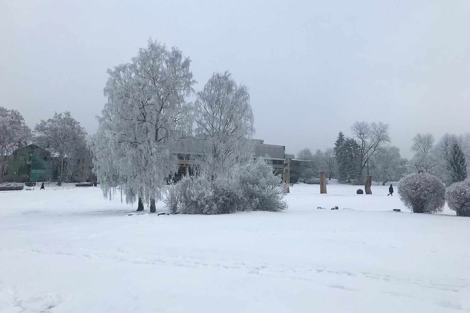 Zu sehen ist eine von Schnee bedeckte Landschaft.