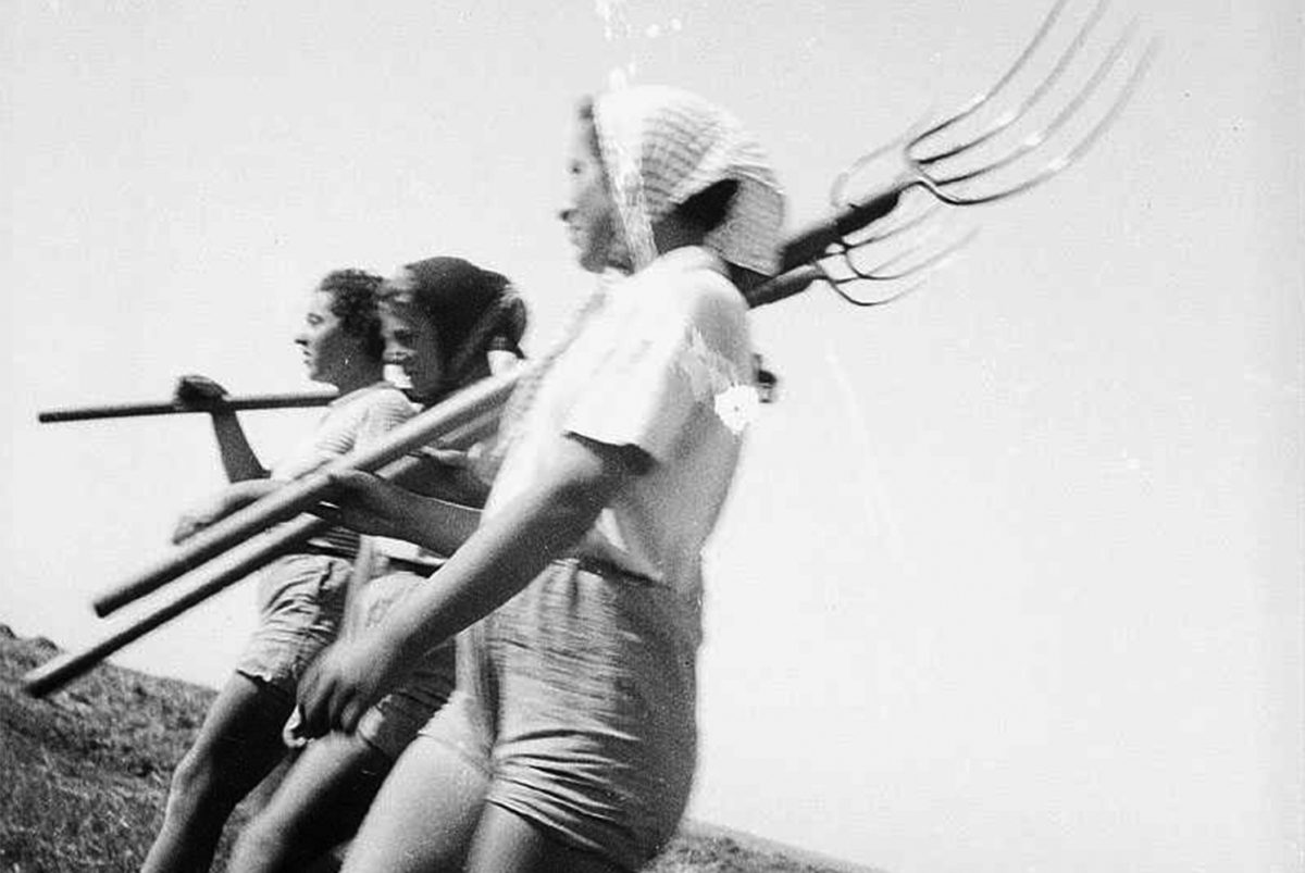 Wege jüdischer Jugendkultur nach 1918 TU Braunschweig Blogs