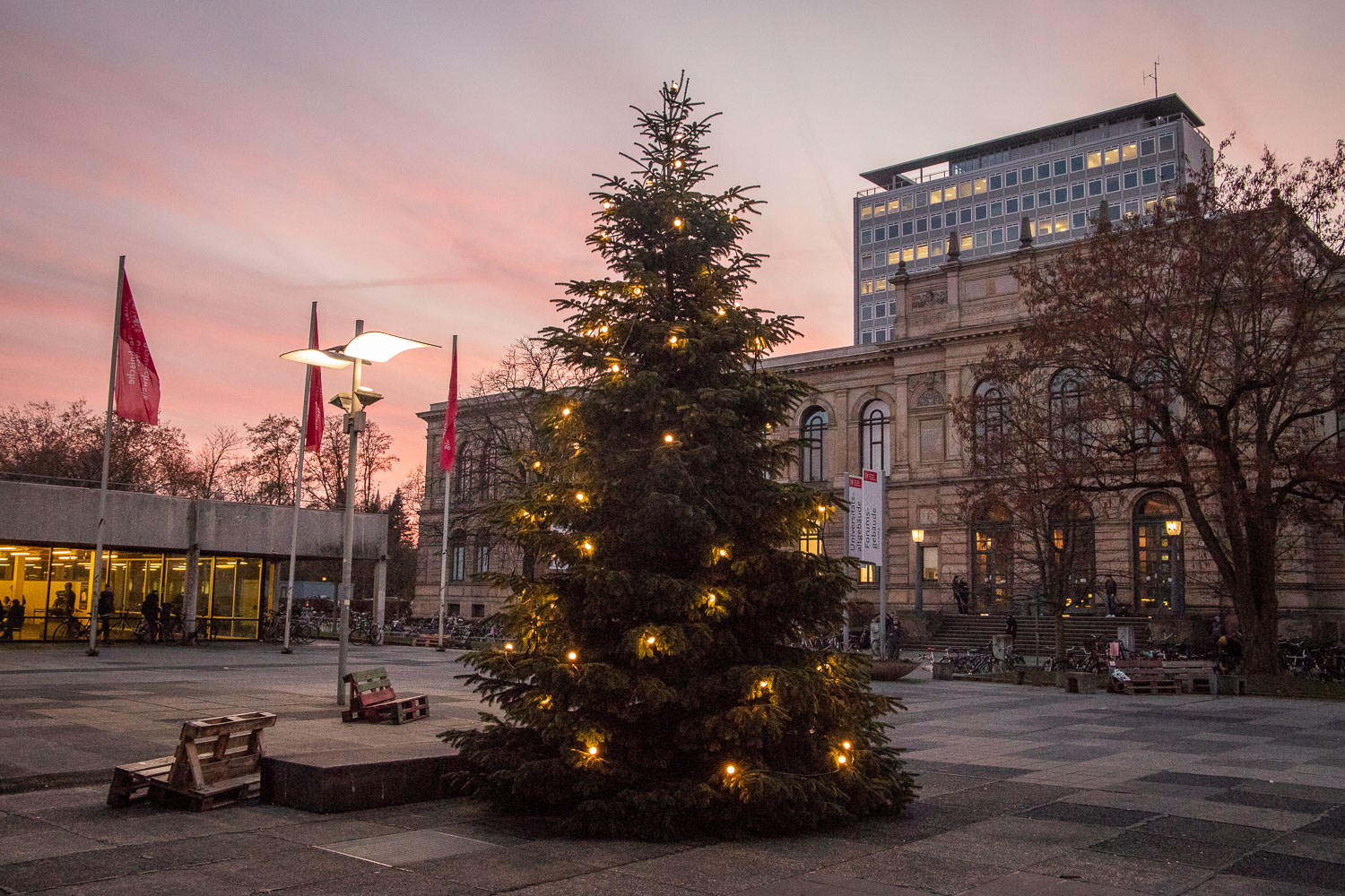 Der Weihnachtsbaum auf dem Universitätsplatz. Bildnachweis: Markus Hörster/TU Braunschweig