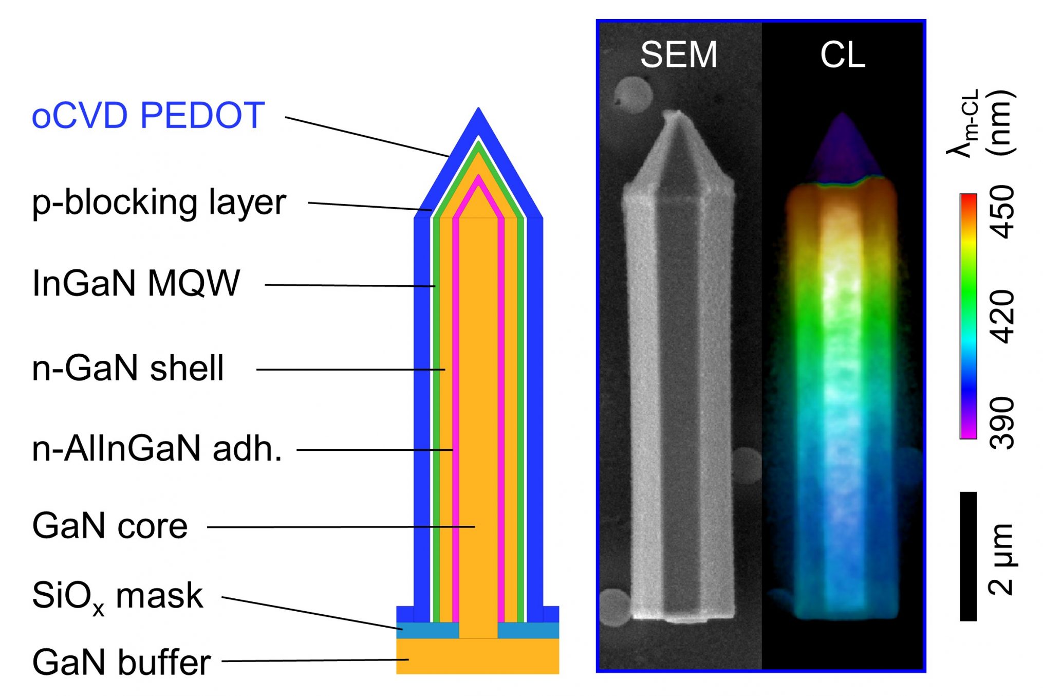 Schematischer LED-Querschnitt und Mikroskopbild einer einzelnen Säule.