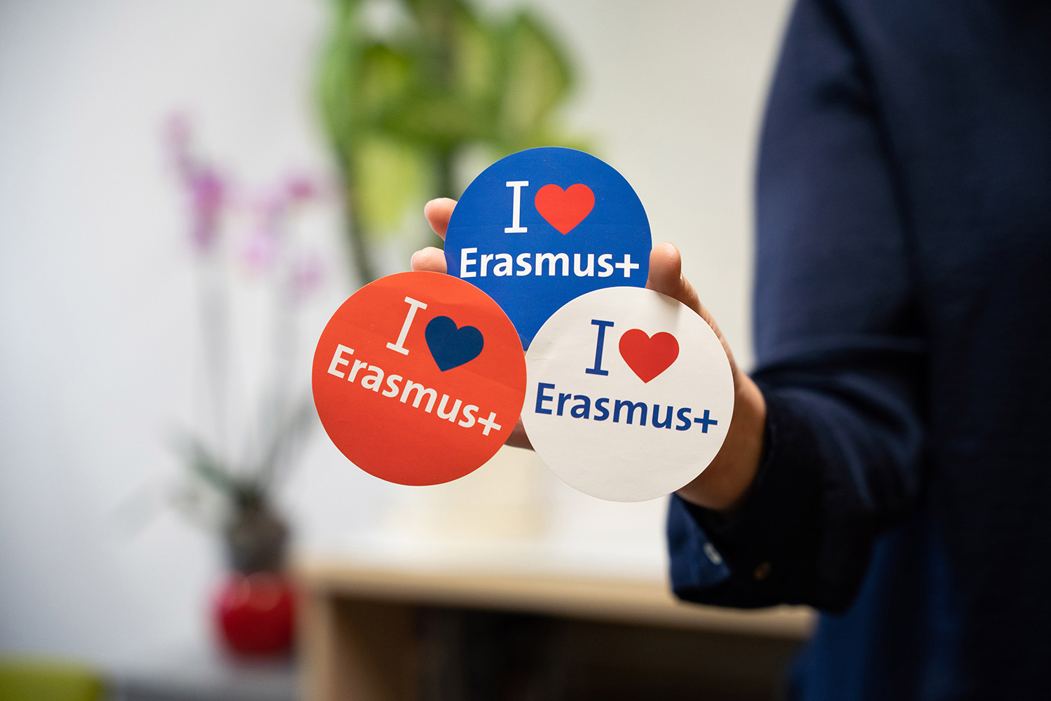 One person holds up three Erasmus stickers to the camera.