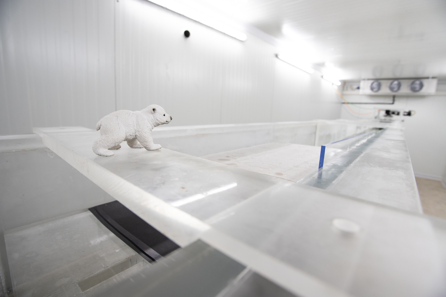 In der Klimakammer herrschen Wintertemperaturen, das gefällt auch den Eisbären. Bildnachweis: Max Fuhrmann/TU Braunschweig