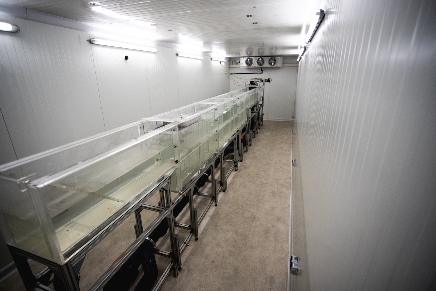 Der Wellenkanal der Klimakammer, eine acht Meter lange Kunststoffrinne mit Wellenmaschine und Strömungsanlage, Bildnachweis: Max Fuhrmann/TU Braunschweig