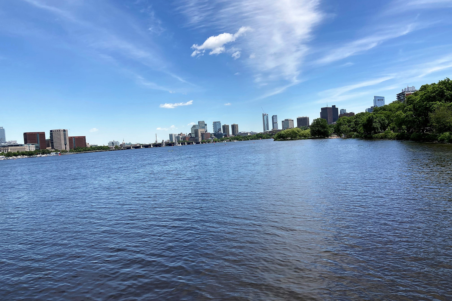 View of the Boston skyline.