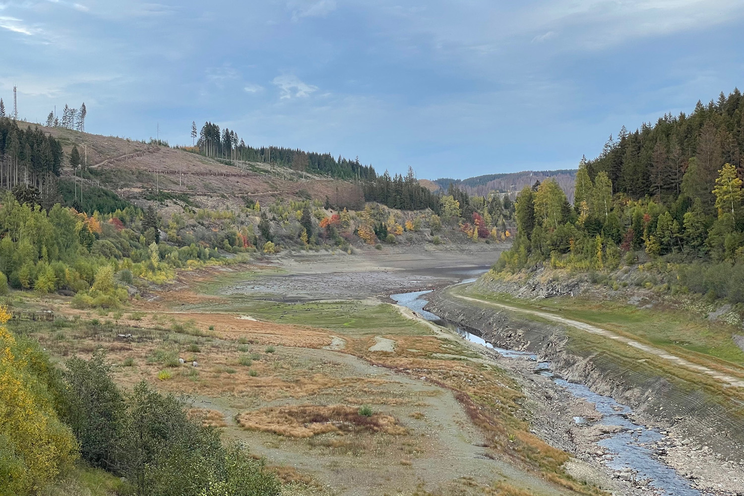 The Okertalsperre in the Harz Mountains in October 2022: Persistent drought leads to low water levels and tree mortality, which in turn makes soils more vulnerable and less receptive to precipitation. Photo credit: Sándor Fekete/TU Braunschweig