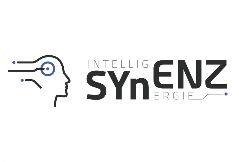 Logo des SYnENZ-Symposiums 2023. Bildnachweis: Braunschweigische Wissenschaftliche Gesellschaft (BWG)
