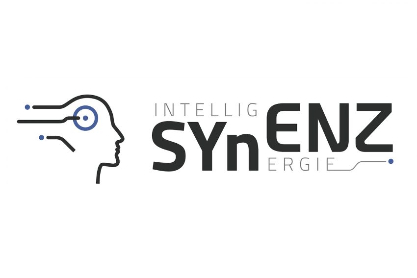 Logo of the SYnENZ Symposium 2023. Photo credit: Braunschweigische Wissenschaftliche Gesellschaft (BWG)