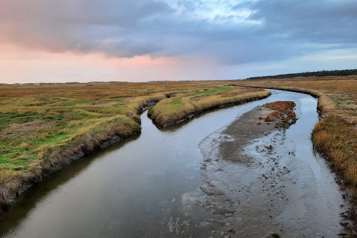 May: Sustainable coastal protection for Niedersachsen