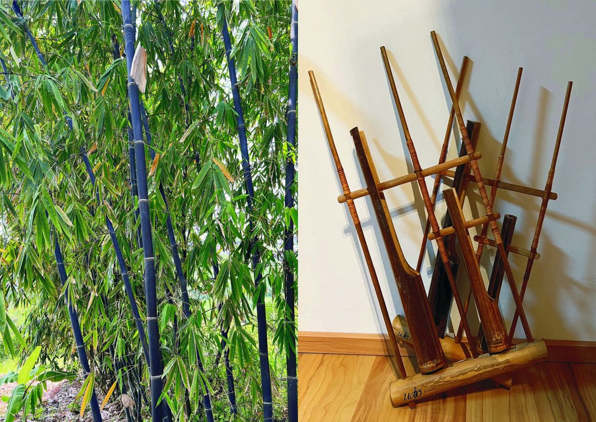 bambus ski Custom, Handmade Bamboo Ski Poles main image 1